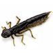10058110 Dragonfly (new) 1.7" (8pcs.), #043 - Watermelon Brown/Black