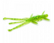 Силікон FishUp Shrimp 3" #026 Flo Chartreuse/Green (10065119)