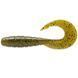 Силікон FishUp Mighty Grub 3.5" #074 /Green Pumpkin Seed (10055117)