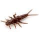 Stonefly 0.75" (12pcs.), #012 - Chaos