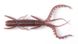Силикон Lucky John Hogy Shrimp 2.4in/ 60мм / 10шт / цвет S19 (140163-S19)