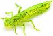 Силикон FishUp Dragonfly 0.75in (12шт) в форме стрекозы с запахом креветки (цвет 53) (10056119)