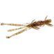 Силикон FishUp Shrimp 3.6" #045 Green Pumpkin/Red & Black