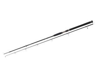 Cпінінговe вудилище Daiwa Exceler Catfish Spin 2.40м 185г (11819-241)