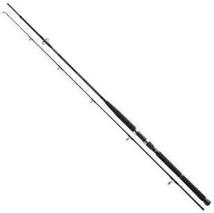 Спиннинг Daiwa BG Boat 2.40m 150-400g (11906-246 / 720446)