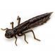 10058112 Dragonfly (new) 1.7" (8pcs.), #050 - Green Pumpkin Brown/Red & Purple