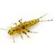 Stonefly 0.75" (12pcs.), #036 - Caramel/Green & Black