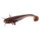 10025112 Catfish 3" (8pcs.), #050 - Green Pumpkin Brown/Red & Purple
