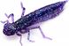 Силикон FishUp Dragonfly 0.75in (12шт) в форме стрекозы с запахом креветки (цвет 59) (10056132)