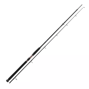 Спиннинг Daiwa Exceler Catfish Spin 2.40м -185г / (2186425 / 11819-241)