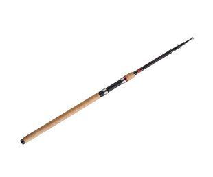 Cпінінговe вудилище Daiwa Ninja-X Tele Spin 3м 20-60г (11634-300)