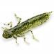 10057109 Dragonfly (new) 1.2" (10pcs.), #042 - Watermelon Seed