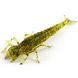 Силікон FishUp Diving Bug 2in / 50мм / 8шт / колір 036 (10001108)
