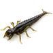 10001110 Diving Bug 2" (8pcs.), #043 - Watermelon Brown/Black
