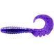 Силікон FishUp Fancy Grub 2.5" #060 /Dark Violet/Peacock & Silver (10016132)