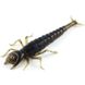 Силікон FishUp Diving Bug 2in / 50мм / 8шт / колір 043 (10001110)