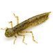 10057117 Dragonfly (new) 1.2" (10pcs.), #074 - Green Pumpkin Seed