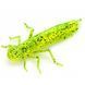 10058119 Dragonfly (new) 1.7" (8pcs.), #026 - Flo Chartreuse/Green
