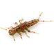 Stonefly 0.75" (12pcs.), #045 - Green Pumpkin/Red & Black