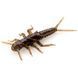 Stonefly 0.75" (12pcs.), #050 - Green Pumpkin Brown/Red & Purple